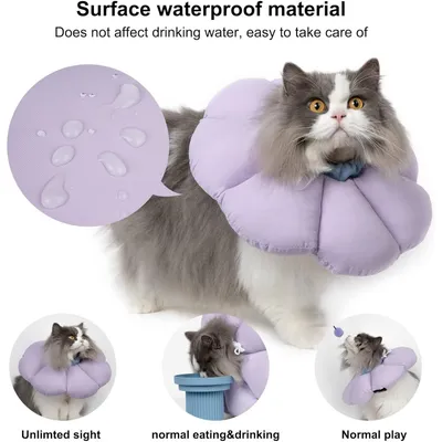 PetTribes Colerette Anti-Léchage Chat Violet Fleur Taille M, Imperméable PetTribes Colerette Anti-Léchage Chat Violet Fleur Taille M, Imperméable