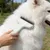 Zoomtopia Brosse autonettoyante chat chien poils longs blanc métal Zoomtopia Brosse autonettoyante chat chien poils longs blanc métal