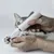 Tondeuse 2 en 1 Pro pour chat et chien lames céramique étanche Tondeuse 2 en 1 Pro pour chat et chien lames céramique étanche