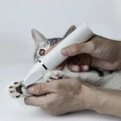 Tondeuse 2 en 1 Pro pour chat et chien lames céramique étanche Tondeuse 2 en 1 Pro pour chat et chien lames céramique étanche