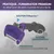 FURMINATOR Brosse toilettage chat grand taille poils longs Violet FURMINATOR Brosse toilettage chat grand taille poils longs Violet