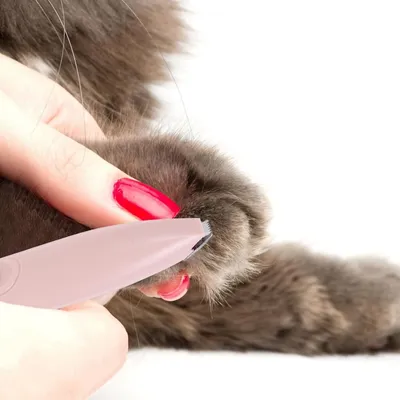 PetTribes Tondeuse Électrique Silencieuse Animaux sous 50dB PetTribes Tondeuse Électrique Silencieuse Animaux sous 50dB