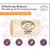 Zoomtopia Brosse de toilettage pour chat chien cheval poils courts longs Zoomtopia Brosse de toilettage pour chat chien cheval poils courts longs