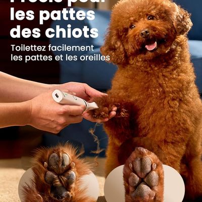 ZooVenture Cortapatas para mascotas - Cuchillas fijas, inalámbrico