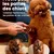 ZooVenture Tondeuse Pattes Animaux - Lames Fixes, Sans Fil