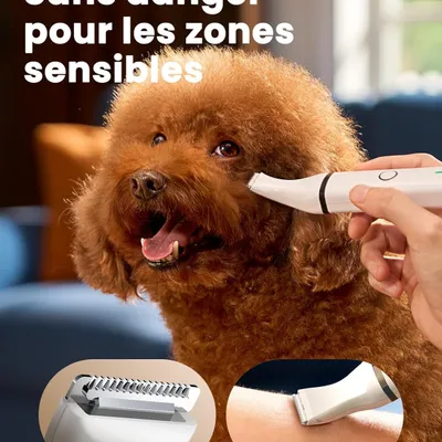 ZooVenture Tondeuse Pattes Animaux - Lames Fixes, Sans Fil