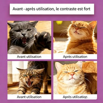 HausPets Entspannungspheromone für Katzen Entspannung zu Hause