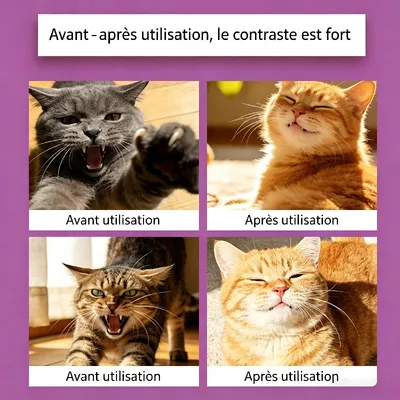 HausPets Phéromones de relaxation pour chats Relaxation à la maison