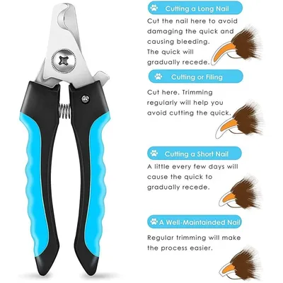 PetTribes-Ongles Animaux, Garde Sécurité + Lime, Toutes Races & Tailles PetTribes-Ongles Animaux, Garde Sécurité + Lime, Toutes Races & Tailles