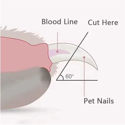 ZooVenture Coupe-Ongles Grattoir Chat Bleu