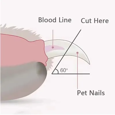 ZooVenture Coupe Ongle Grattoir Chat Polis Bleu ZooVenture Coupe Ongle Grattoir Chat Polis Bleu