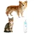 MCBOSON Moulin à Ongles LED pour Chats/Chiens Petits Anti-Éclaboussures MCBOSON Moulin à Ongles LED pour Chats/Chiens Petits Anti-Éclaboussures