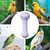 PetTribes Lime Électrique Multi‑Animaux PetTribes Lime Électrique Multi‑Animaux