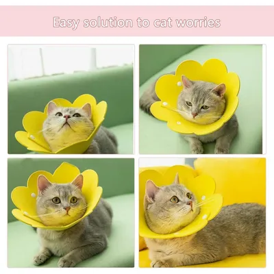 ZooVenture Collier Convalescence Chat Fleur 3P