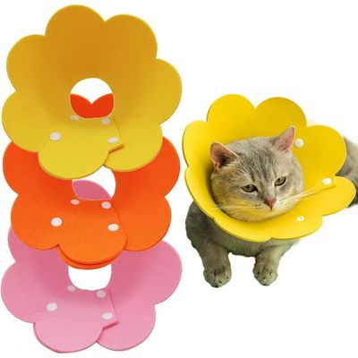 ZooVenture Collier Convalescence Chat Fleur 3P
