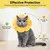 ZooVenture Collier Protection Chat Tournesol ZooVenture Collier Protection Chat Tournesol