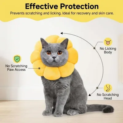 ZooVenture Collier Protection Chat Tournesol ZooVenture Collier Protection Chat Tournesol