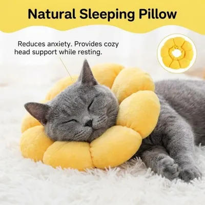 ZooVenture Collier Protection Chat Tournesol ZooVenture Collier Protection Chat Tournesol