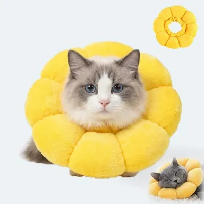 ZooVenture Collier Protection Chat Tournesol ZooVenture Collier Protection Chat Tournesol