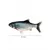 PetTribes Jouet Poisson Électrique Chat Rechargeable USB