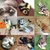 PetTribes Jouet Poisson Électrique Chat Rechargeable USB