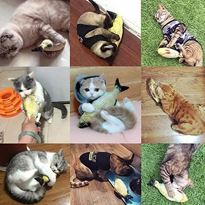 PetTribes Jouet Poisson Électrique Chat Rechargeable USB