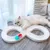 FurryFusion Disque tournant avec bille pour divertir les chats