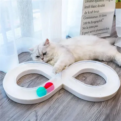 FurryFusion Disque tournant avec bille pour divertir les chats