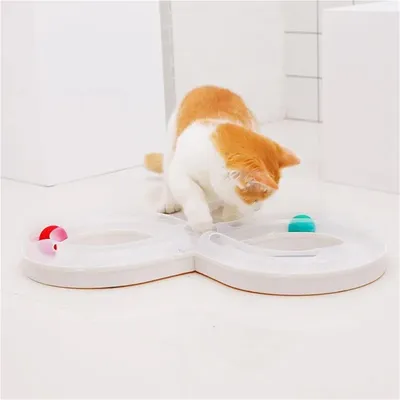 FurryFusion Disque tournant avec bille pour divertir les chats