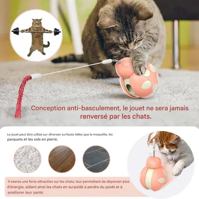 ZooVenture Jouet Distributeur Friandises Chat - ABS, Ressort