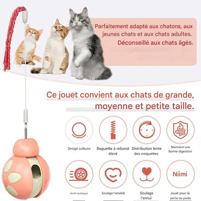 ZooVenture Jouet Distributeur Friandises Chat - ABS, Ressort