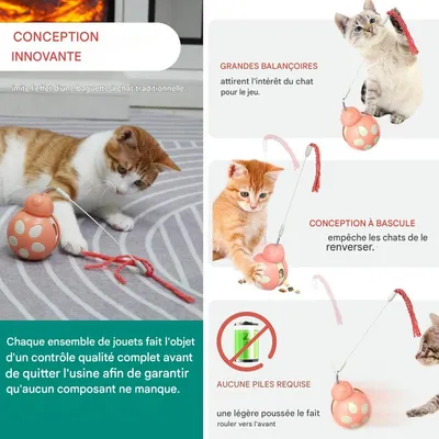 ZooVenture Jouet Distributeur Friandises Chat - ABS, Ressort