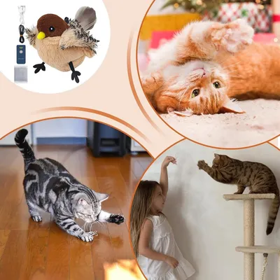 Zoomtopia Jouet oiseau battant rechargeable pour chat velours avec à chat