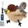 Moineau