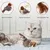 Zoomtopia Jouet oiseau battant rechargeable pour chat velours avec à chat