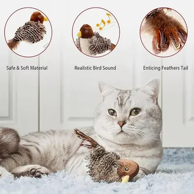 Zoomtopia Jouet oiseau battant rechargeable pour chat velours avec à chat
