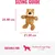 ZooVenture Peluche Ours Chien - Corde, Sons, Câlins