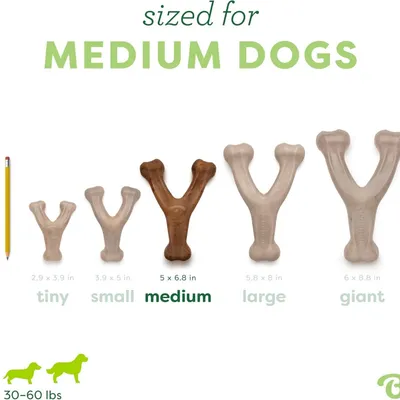 ZooVenture Jouet Os Bacon Chien - Durable, Forme Fourchette