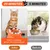 Zoomtopia Gamelle puzzle anti-glouton pour chat stimulation mentale