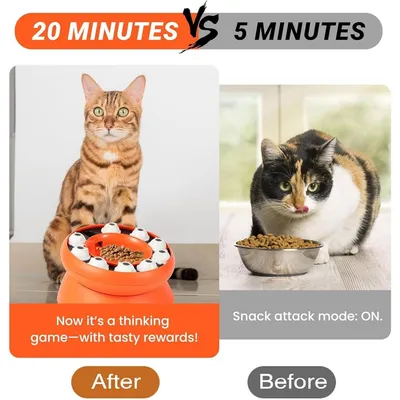 Zoomtopia Gamelle puzzle anti-glouton pour chat stimulation mentale