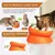 Zoomtopia Gamelle puzzle anti-glouton pour chat stimulation mentale