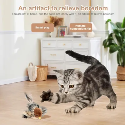MCBOSON (Rechargeable Herbe à chat) Jouet Oiseau Volant