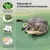 MCBOSON Lot de 2 jouets kicker sisal doux herbe à chat bio