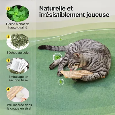 MCBOSON Lot de 2 jouets kicker sisal doux herbe à chat bio