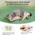 MCBOSON Lot de 2 jouets kicker sisal doux herbe à chat bio