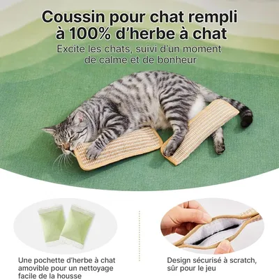 MCBOSON Lot de 2 jouets kicker sisal doux herbe à chat bio
