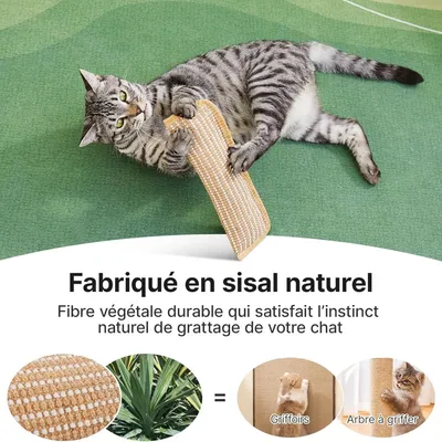 MCBOSON Lot de 2 jouets kicker sisal doux herbe à chat bio