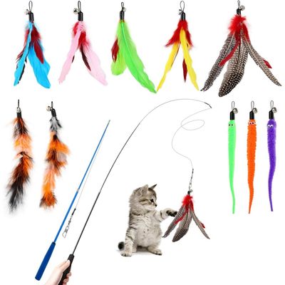 ZooVenture Ensemble Jouets Chat - 12 Pièces