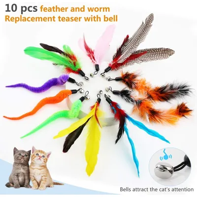ZooVenture Ensemble Jouets Chat - 12 Pièces