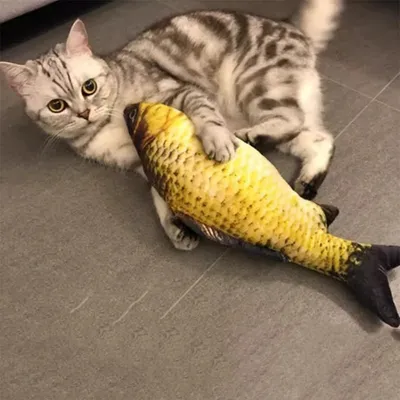 FurryFusion Jouet poisson en peluche avec catnip